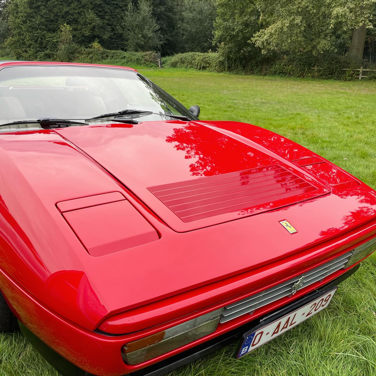 385067006_17983888484395166_1948653574632561135_n